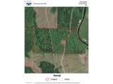  Wallace Rd - Photo 18