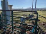 000 Prunedale Rd - Photo 2