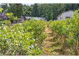 2060 Butler Rd - Photo 47