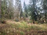 3117 Tenmile - Photo 39