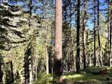  Arapahoe Rd - Photo 1