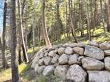  Arapahoe Rd - Photo 2