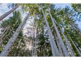 575 Fairway Dr - Photo 10