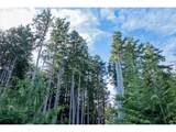 575 Fairway Dr - Photo 12