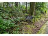 575 Fairway Dr - Photo 7