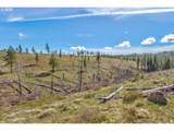  Box Canyon Rd - Photo 21