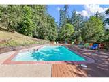 149 Treehill Loop - Photo 33