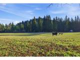 38961 Place Rd - Photo 12