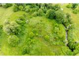 224 Brim Creek Rd - Photo 14