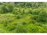 224 Brim Creek Rd - Photo 15