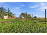 8949 Gribble Rd - Photo 35