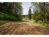 233 Johanneson Creek Rd - Photo 40
