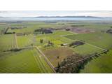 29680 Crook Dr - Photo 43