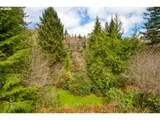 78488 Highway 53 - Photo 34