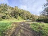 119 Winter Green Dr - Photo 11