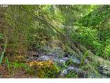 25855 Pine Creek Rd - Photo 17