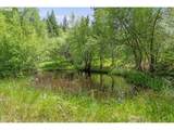 25855 Pine Creek Rd - Photo 18