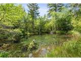 25855 Pine Creek Rd - Photo 19