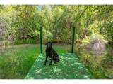 25855 Pine Creek Rd - Photo 20