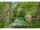 25855 Pine Creek Rd - Photo 21