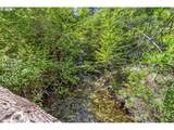25855 Pine Creek Rd - Photo 22