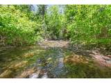 25855 Pine Creek Rd - Photo 24