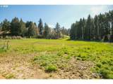 16493 Major Ln - Photo 37