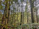 00971354 Rolling Green - Photo 1