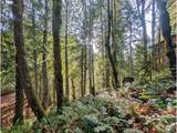00971354 Rolling Green - Photo 2