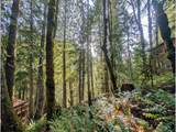 00971354 Rolling Green - Photo 5
