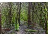 0 Elmer Miller Rd - Photo 13