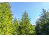 0 Elmer Miller Rd - Photo 8