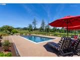 30460 Bell Rd - Photo 30
