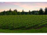 30460 Bell Rd - Photo 41