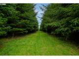 76382 Delena Mayger Rd - Photo 13