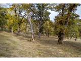  Hidden Meadows - Photo 12