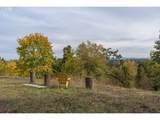  Hidden Meadows - Photo 6