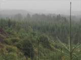  Ridge Rd - Photo 8