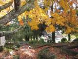12810 A St - Photo 45