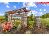 31303 Turel Dr - Photo 3