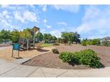 28538 Dundee Ln - Photo 35