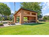 28538 Dundee Ln - Photo 37