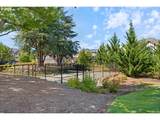 28538 Dundee Ln - Photo 38