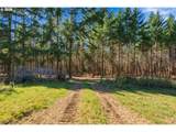 24615 Pederson Rd - Photo 34