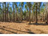 24615 Pederson Rd - Photo 35