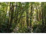 24615 Pederson Rd - Photo 43
