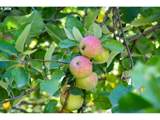 24615 Pederson Rd - Photo 44