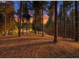 24615 Pederson Rd - Photo 46