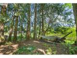 66020 Meissner Rd - Photo 30