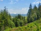 66020 Meissner Rd - Photo 34